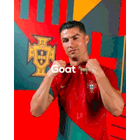 Ronaldo Ronaldo Portugal Sticker GIF