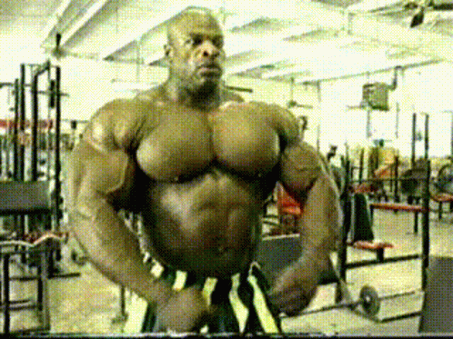 Ronnie Coleman Big Physique GIF