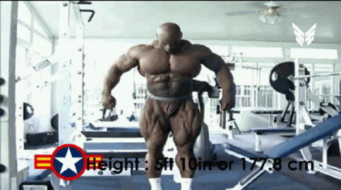 Ronnie Coleman Height Information GIF
