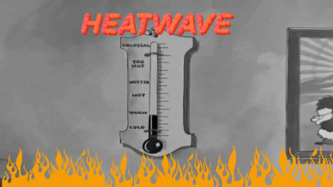 Room Thermometer With Increasing Temperature GIF