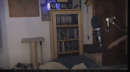 Room with Bookshelf, Microphone, and Cat Tree