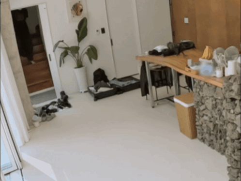 Room with Plant Desk and Banana