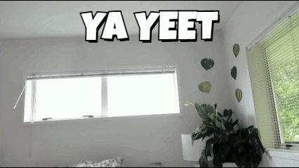 Room With Window and Ya Yeet