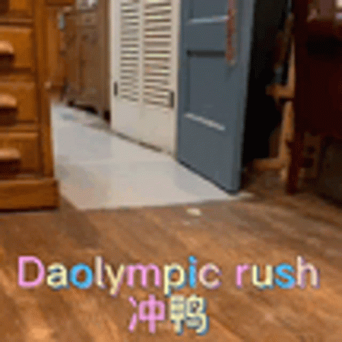 Room With Wooden Floor Saying Daolympic Rush