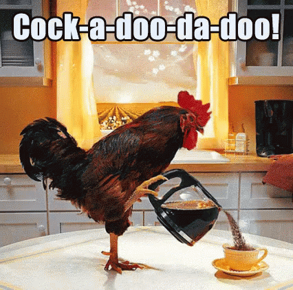 Cock A Doodle Rooster Pouring Coffee GIF