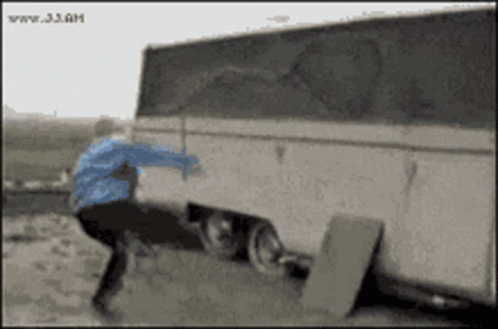 Hilarious Rooster Chasing Boy GIF