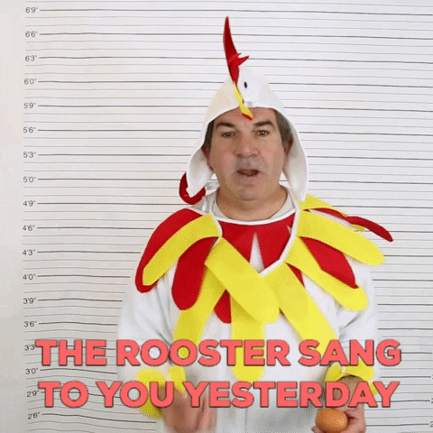 Rooster Crowing Adult Man Costume GIF