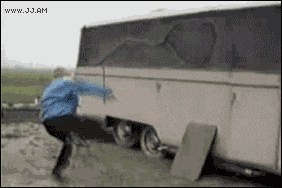 Rooster Crowing And Chasing Kid GIF
