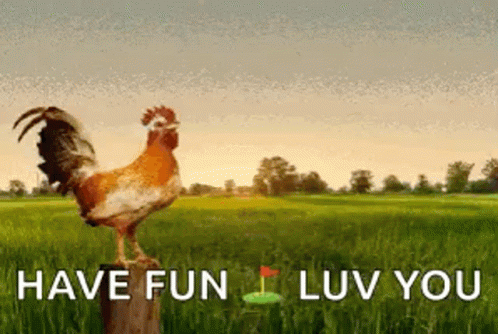 Rooster Crowing And Sun Going Out GIF