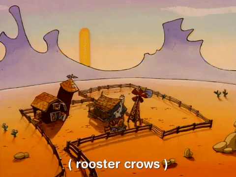 Rooster Crowing Early Morning In Desert GIF