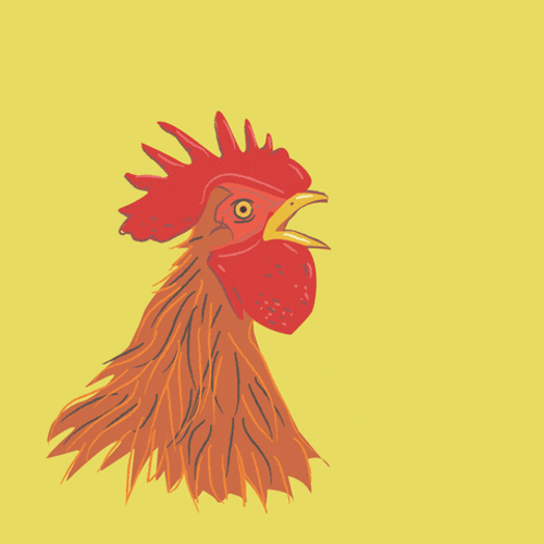 Rooster Crowing Good Morning Team GIF 