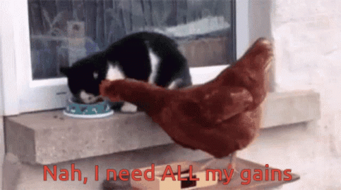 Rooster Crowing Got Beaten By Cat GIF