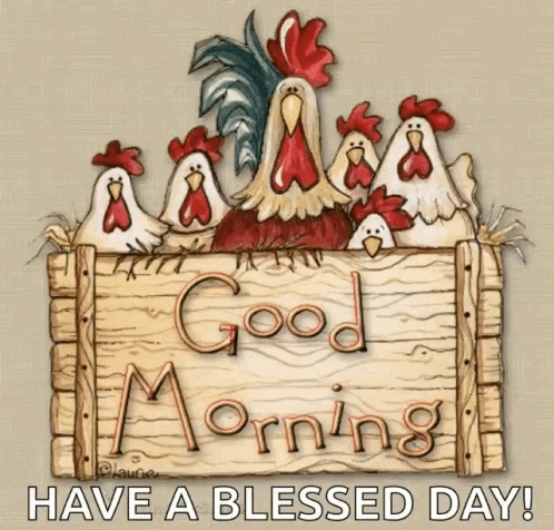 Rooster Crowing Have A Blessed Day GIF