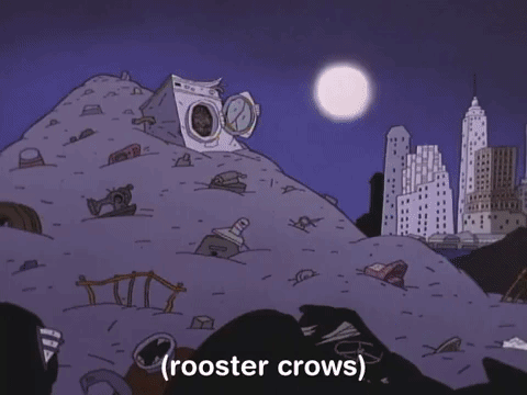 Rooster Crowing In Garbage Pile GIF