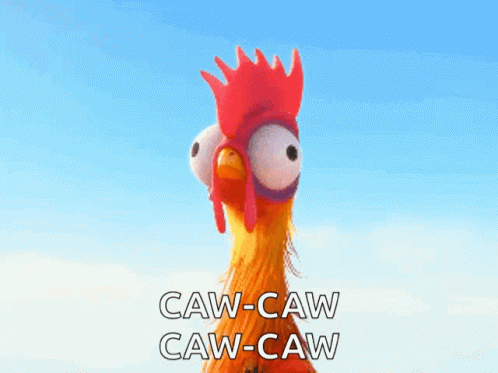 Rooster Crowing Moana Caw Caw GIF