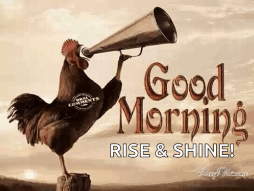 Rooster Crowing Rise And Shine GIF