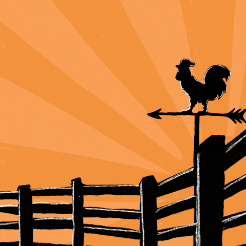 Rooster Crowing Supports Early Voting GIF