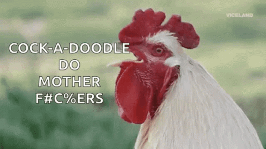 Rooster GIF