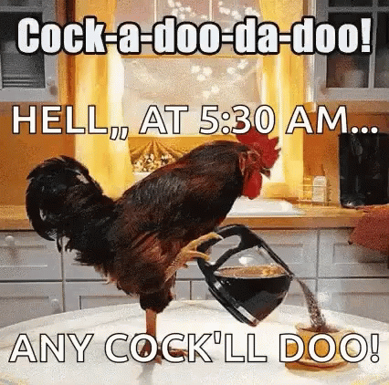 Rooster Pouring Coffee Into Cup GIF