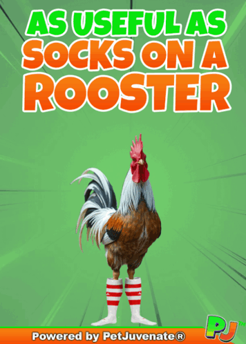 Rooster Red White Striped Socks Powered by Petjuvenate