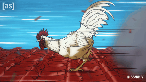 Rooster Running on Red Tile Roof Saying As