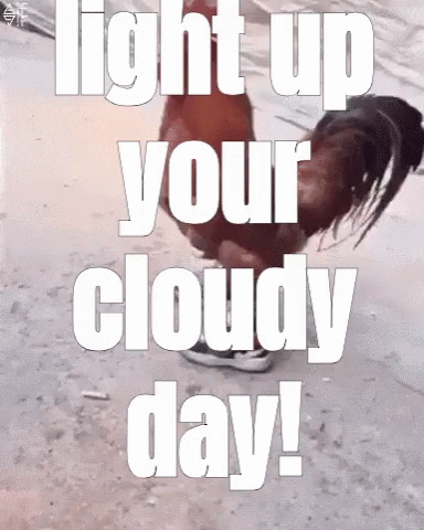 Rooster Saying Light Up Your Cloudy Day