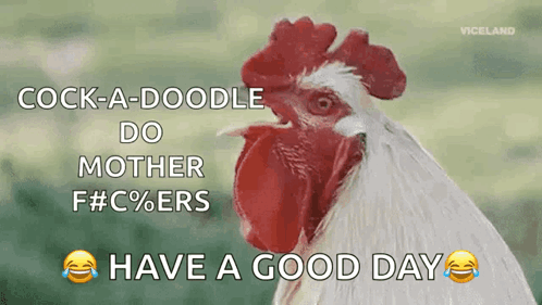 Rooster Says Cock-A-Doodle-Do Mother F# C% Ers Have A Good Day GIF