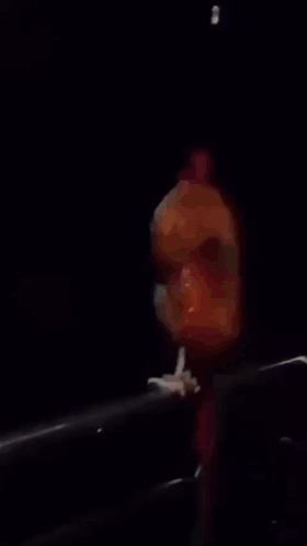 Rooster Under The Rain Sad Meme GIF