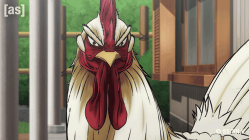 Rooster With As