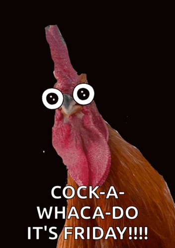 Rooster With Googly Eyes Saying Cock-A Whaca-Do It's Friday