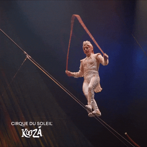 Rope Balance During Circus Show GIF