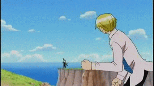 Roronoa Zoro Encountering Dead End GIF