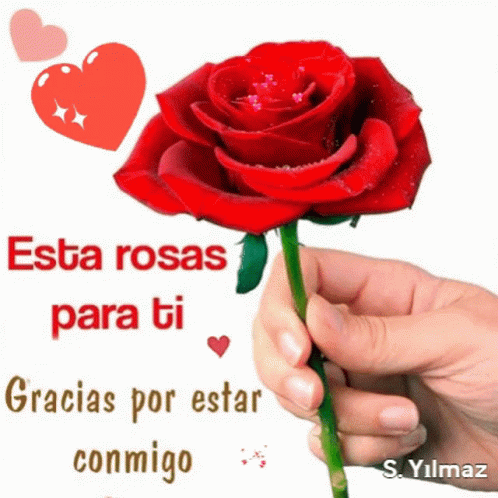 Rosas For You GIF