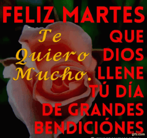 Rose Feliz Martes