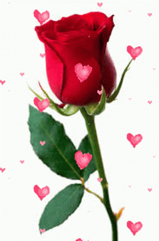 Rose Flores Floating Heart Emoji GIF