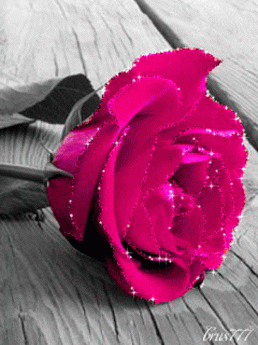 Rose In Flashing Colors GIF