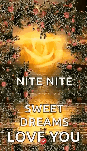 Rose 'Nite Nite Sweet Dreams Love You GIF