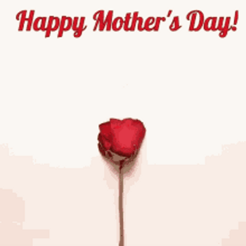 Rose Petals Forming Heart Happy Mothers Day Niece GIF