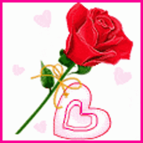 Rose Wildflower Heart I Love You GIF