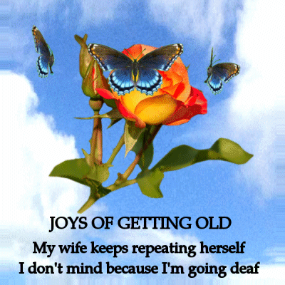 Rose With Butterflies and Joys of Getting Old