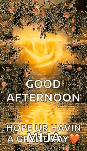Rose with Good Afternoon Hope You Have a Gemjay