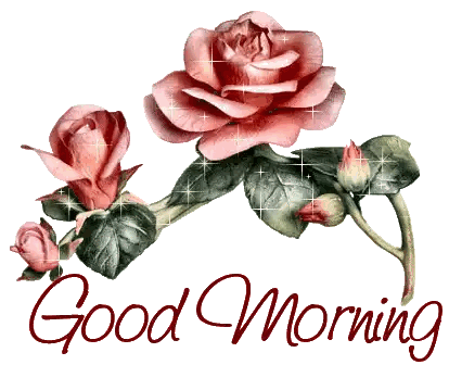 Rose With Good Morning Text