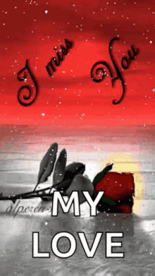 Rose With I Miss You My Love
