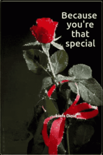 Roses Because You're That Special GIF