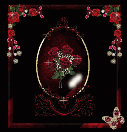 Roses In Red Frame With Butterfly GIF