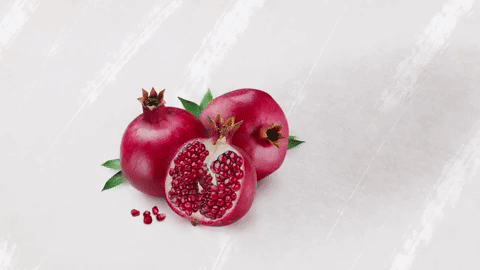 Rosh Hashanah Pomegranate Shana Tova GIF