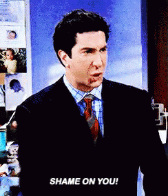 Ross Geller Shame On You GIF