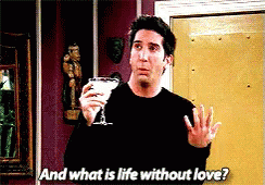 Ross Geller What Is Love GIF