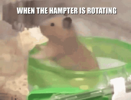 Rotating Hampter With No Thoughts GIF