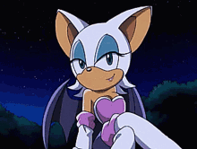 Rouge the Bat Sitting on Ground at Night